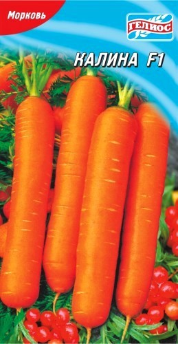 Семена морковь Калина суперранняя