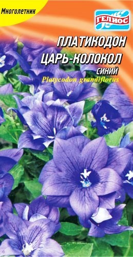 Семена платикодон (ширококолокольчик) крупноцветковый синий (Германия)