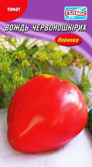 Насіння томат Вождь червоношкірих середньорослий