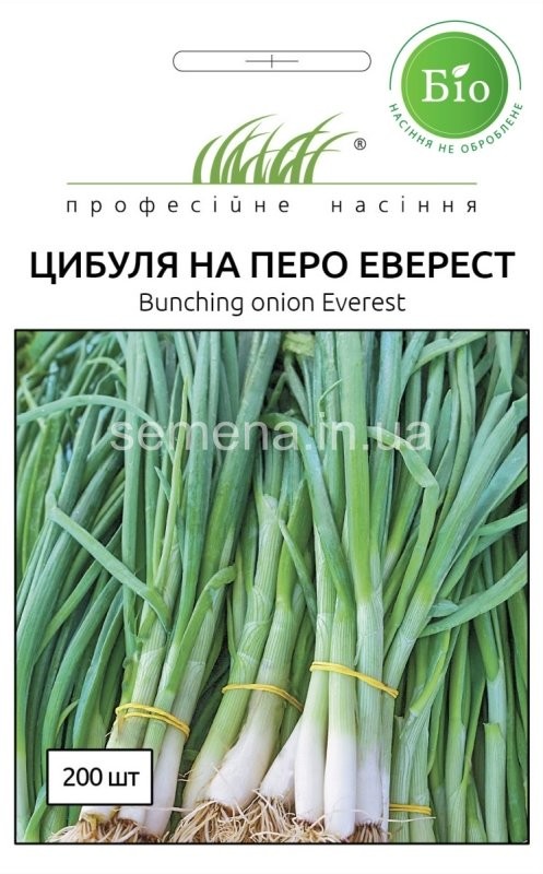 Семена профессиональные лук на зелень Эверест (экологически чистый продукт)