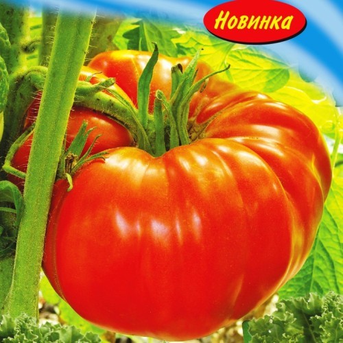Семена томат Дворцовый высокорослый