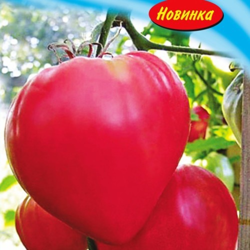 Семена томат Розовый мед низкорослый