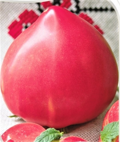 Семена профессиональные томат Розовый Чемпион высокорослый
