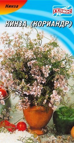 Насіння кинза (коріандр) Нектар