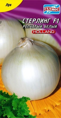 Семена лук Стерлинг белый репчатый полуострый (Голландия)