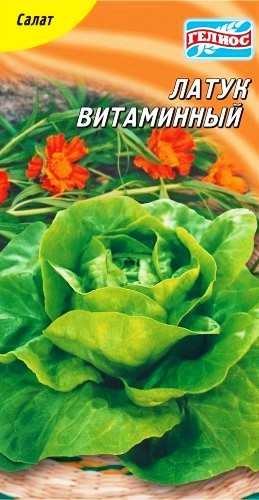 Семена салат Латук витаминный кочанный