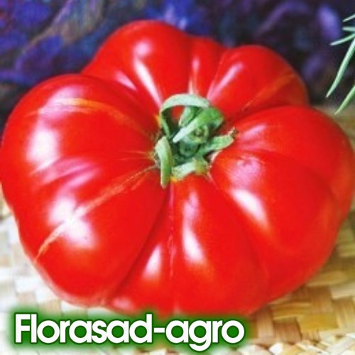 Семена томат Американский ребристый высокорослый
