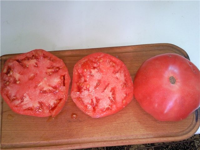 Семена томат Изгой низкорослый