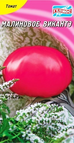 Насіння томат Малинове віконте низькорослий