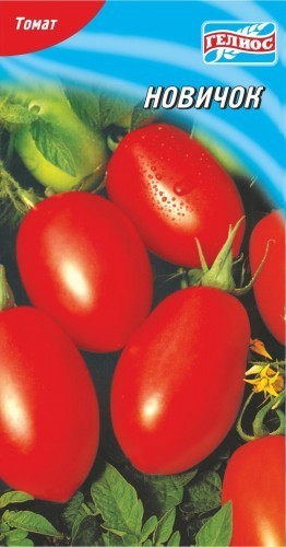 Семена томат Новичок низкорослый