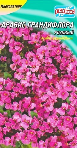 Семена арабис розовый крупноцветковый