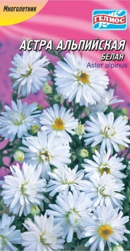 Семена астра Альпийская белая многолетняя