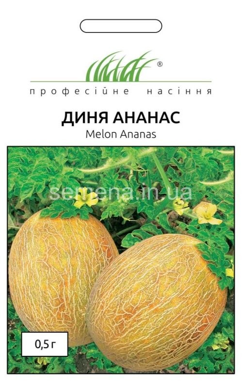 Семена профессиональные дыня Ананас