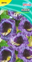 Семена кобея фиолетовая