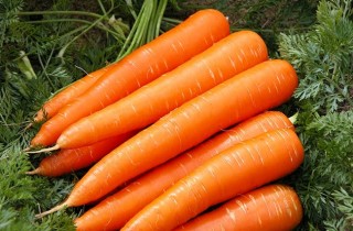 Насіння морква Королева осені пізня (максипакет)