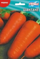 Семена морковь Шантане среднеспелая (максипакет 10г)