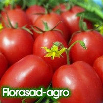 Семена томат Де Барао красный высокорослый