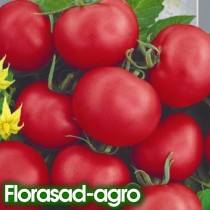 Семена томат Видимо-Невидимо низкорослый