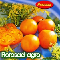 Семена томат Мандаринка высокорослый