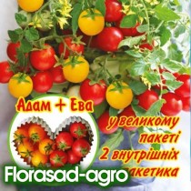 Семена томат комнатный Сладкая парочка (Адам + Ева)