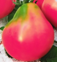 Насіння томат Японський трюфель Рожевий високорослий