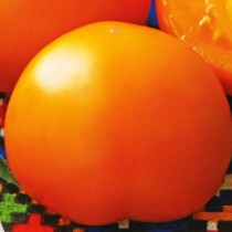 Семена профессиональные томат Оранжевый статус низкорослый (Япония)