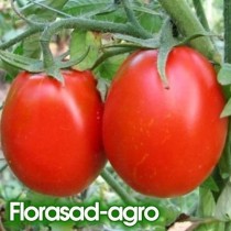 Семена томат Де Барао Царский высокорослый