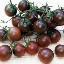 Семена томат Пляжный Черри среднерослый (США)