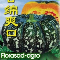 Семена тыква Заря Востока (Китай)