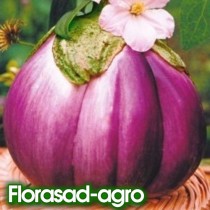Семена баклажан Виолетта ди Ференце