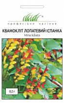Семена профессиональные квамоклит лопастной Испанка (мина)