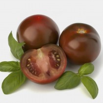 Семена профессиональные томат KS 3900 F1 высокорослый черный