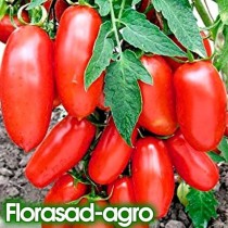 Семена томат Сан Марцано (Италия) низкорослый (максипакет 500 семян)