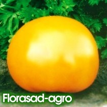 Насіння томат Ананасний (США) високорослий (економпакет 10г)