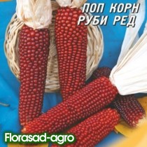 Семена кукуруза поп-корн красная (США) (максипакет)