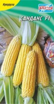 Семена кукуруза Санданс сахарная (Голландия)