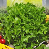 Семена салат балконный зеленый (1г)