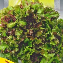 Семена салат балконный красный (1г)