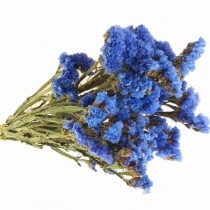 Семена профессиональные лимониум выемчастый Квис, небесно-голубой