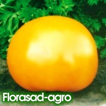 Семена томат Ананасный (США) высокорослый