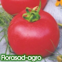 Семена томат Андромеда розовая низкорослый