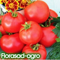 Семена томат Баллада низкорослый