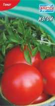 Насіння томат Ізгой низькорослий