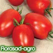 Насіння томат Лагідний низькорослий