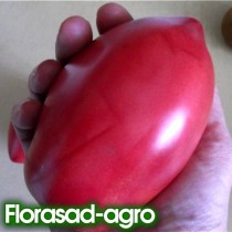Семена томат Розовый фламинго высокорослый