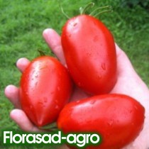 Насіння томат Сливка-гігант червона високорослий